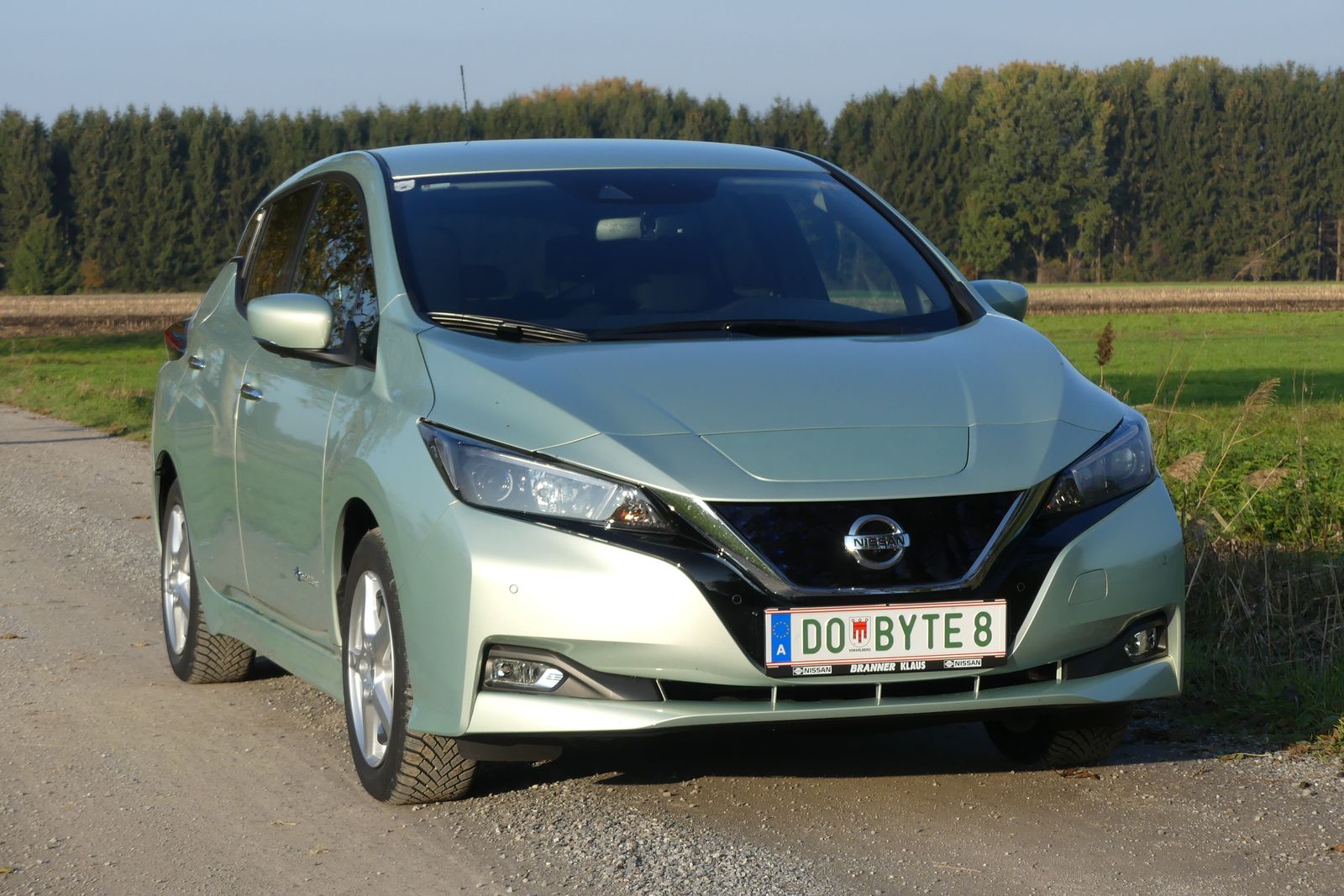 Nissan Leaf (ZE1) set skråt forfra